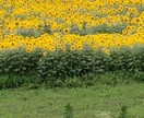 突然の不登校!不安いっぱいのお母さんお話し伺います ショック！大混乱！>⁠.⁠<　から「ま、しょうがないか〜」へ イメージ8