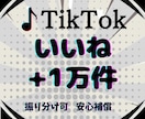 TikTok★いいね1万件～宣伝して増やします 価値ある動画にします！宣伝してバズらせます！保証付 イメージ5