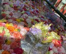 霊視鑑定いたします 最近良くないことが起こる、霊障に悩んでるお悩み解決 イメージ1
