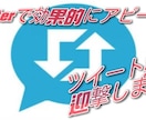 5個のツイートを3.2万人以上に拡散します ブログ、レイヤーさん♪お店の紹介等に！安心の低価格♪ イメージ3