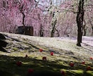 京都観光マスターがオリジナル旅行プランを提案します 19年間、京都観光サイトを運営してきた京都人オススメプラン イメージ8