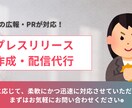 現役広報がプレスリリースを作成します 初めてのプレスリリースでもお任せください！柔軟に対応します イメージ1