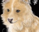 パステル画風にペットの似顔絵を可愛く描きます SNSアイコン、携帯待受、プレゼントなどに イメージ7