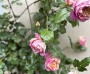 20代・30代の相手の気持ちわかってスッキリます ゴールインできるのか不安なあなたの気持ち イメージ2
