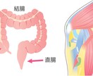 分かりやすい！伝わる！図解・解説イラスト制作します 整形外科・歯科・美容外科様など様々な図解イラストを作成 イメージ7