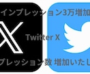 Twitterインプレッション３万回増やします X（Twitter）インプレッションを増加します！ イメージ1
