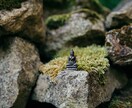 人生のこと、恋のことも、色々相談にのります 何か人生のヒントを探しているあなたへ イメージ1