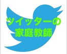 あなたのツイッターを、コンサル（７日間）します フォロワーの増やし方、エンゲージメント率アップをアドバイス イメージ1