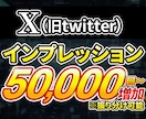 X・旧Twitter表示回数を5万回〜増加します 【高品質｜最速】拡散宣伝によりインプレッションを増加！ イメージ1