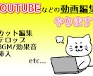 Youtube用動画編集代行いたします 軽快なテンポ・遊びの編集で視聴者様を飽きさせません！ イメージ1