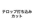 動画のテロップを打ち込みやカット作業を行います テロップ打ち込みおまかせくだい！ イメージ1