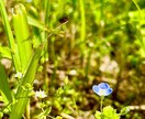 あなたのモヤモヤした気持ち、ちょっとスッキリします 生きずらい今を生きる貴方の悩み、思う存分話して欲しい イメージ5