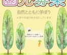 子ども向けイベントのチラシ作ります 元保育士だからわかる保護者、子どもに刺さるデザイン イメージ1
