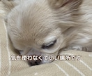 誰かと話したい時のチャット  話し相手になります 雑談・寂しい・ただ聞いてほしい時の話し相手 イメージ2