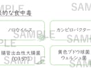 訪問看護・介護向け研修資料を作成します 現役訪問看護管理者が、社内向けの研修資料の作成をサポート！ イメージ6