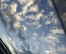 商用利用可能な写真素材1~30枚提供します 具体的には自然の風景、猫や鶏、犬などの動物の写真を提供します イメージ4