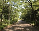 引きこもりから脱出する為のアドバイスできます 引きこもり経験あります。元気になった経験を伝えたい。 イメージ2