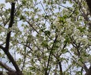 未来・方向性、霊感鑑定・姓名判断占いで視ます 仕事、恋愛など今後の人生に迷われている方、詳しく占います イメージ10