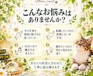 今の仕事を続けるか転職するかタロットで占います 二つの道の可能性と今できる一歩を丁寧に読み解きます イメージ2