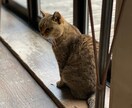 飲食店で働く方へ、悩み相談乗ります 人間関係が複雑な飲食店、ガス抜きしながら、良い店を作ろう！ イメージ4