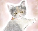 大切なネコちゃんのアートを水彩ペン使って描きます 思い出や性格のカラーを背景に反映させます♡デジタルアート！ イメージ5