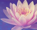 前世療法★前世を調べて問題のヒーリングをします ★現在の問題の原因を前世から調べます★深い問題でお困りの方に イメージ5