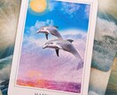 生年月日やカードでお悩み何でもひとつ占います モヤモヤをスッキリさせたいあなたへ イメージ5