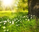 病気、心のお悩みを緩和します あらゆるお悩みを解消してより良い人生に結びつけましょう イメージ1