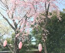 子供の育児相談承ります 保育士を長年に渡り経験！心の悩みをスッキリ解決しませんか？ イメージ1