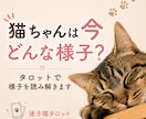 猫ちゃんの様子や今の印象をタロットで読み解きます 愛猫の脱走を経験した鑑定士が心を込めて鑑定します。 イメージ1