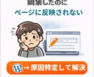 WordPressよく分からない不具合を修正します 何が起きてるか分からなくてもOK イメージ6
