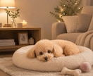 愛犬への愚痴をこぼしたい。優しくお聞きします 可愛いからこそ、ストレスが溜まる。寄り添います。 イメージ3