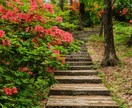 写真の色味・明るさを自然に整えます 自然な色味と明るさで写真を整えます イメージ7