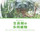 シンプルで分かりやすいバナー広告を制作します ★低単価★ ★修正回数無制限★ ★高品質★ ★オリジナル★ イメージ9