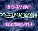 YESorNOでお答えします 【YES】【NO】どちらかでお答えし、【その理由】もお届け。 イメージ1