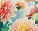 離婚したいあなたへ◆強力霊視で未来を占います 離婚や別居のタイミング・夫婦関係のお悩みを解決に導きます イメージ4