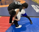 レスリングのアドバイスします レスリングのコツやヒントを教えます。 イメージ5