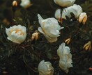 なんでもない話をするお電話します 気分転換に誰かと話したいとき、なんてことない会話がしたいとき イメージ1
