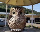 心理カウンセリングでお悩み事相談承ります 心のお悩みを一緒に解決するメンタル心理カウンセラーです イメージ1