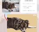 新規セール！本格的◎ペットの似顔絵制作します データ納品/印刷(フォトフレーム・パネル)にも対応 イメージ2