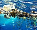 包装資材のコンサルティングをします 早く進めましょう、脱プラスチック。 イメージ1