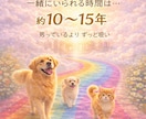 愛犬との時間をやさしく整理します 迷いや不安に寄り添い、これからを一緒に考えます イメージ4