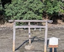 財運開花・金運の波を四神霊視で読み解き導きます 金運×波動×四神で財の巡りを整え、花咲き乱れ雲一つない未来へ イメージ4
