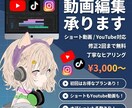ショート動画からYoutube動画まで作成します あなたのニーズに合う動画編集をご提供いたします！ イメージ1