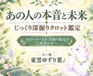 あの人の本音・現状・未来を徹底深掘り鑑定します 本音の奥にある真実を知る、本音・現状・未来を徹底鑑定 イメージ1