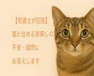 宅建士が回答⭐︎猫と暮らすヒントをお伝えします 賃貸売買・猫可物件の選び方、猫と安心して暮らしたいあなたへ イメージ1