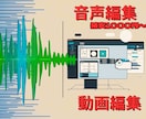 音声編集、動画編集いたします 音声のプロが行います。音に凝った動画編集も行います イメージ1