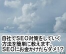 自社でSEO対策をしていく方法を簡単に教えます SEO対策で悩んだり困ったら相談下さい。 イメージ1