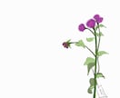 色のシンプルイラスト描きます 小物いくつでも無料！即日〜5日のスピード納品^_^ イメージ7