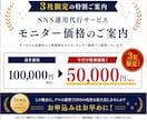 丸投げOK！売上につながるSNS運用します 戦略設計から分析・改善までまるっとサポートします イメージ2